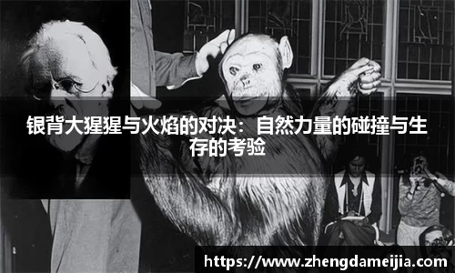 银背大猩猩与火焰的对决：自然力量的碰撞与生存的考验