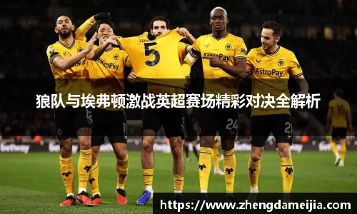 狼队与埃弗顿激战英超赛场精彩对决全解析