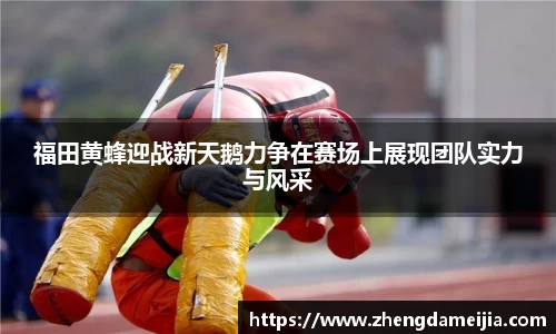 福田黄蜂迎战新天鹅力争在赛场上展现团队实力与风采