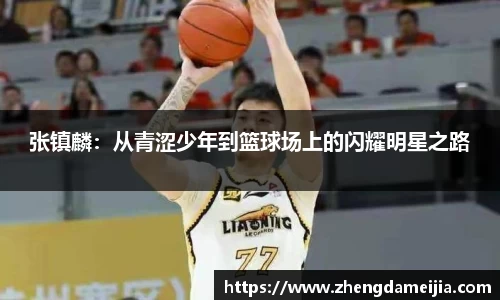张镇麟：从青涩少年到篮球场上的闪耀明星之路