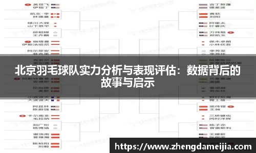北京羽毛球队实力分析与表现评估：数据背后的故事与启示