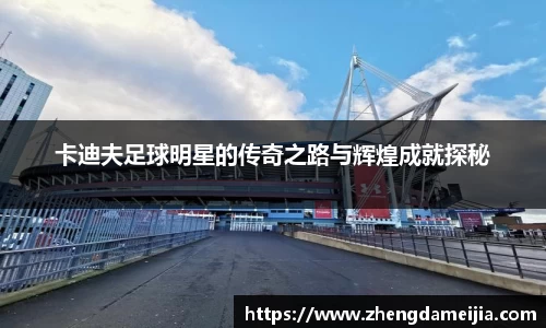 卡迪夫足球明星的传奇之路与辉煌成就探秘